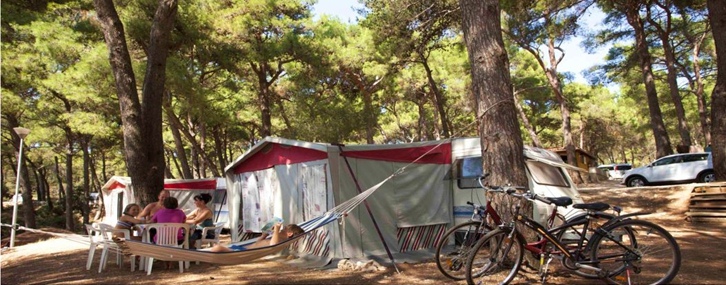 Caravans to rent