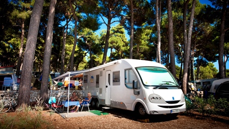 A camper van parked in a forested campsite
