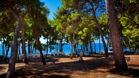 A campsite with caravans among pine trees by the sea