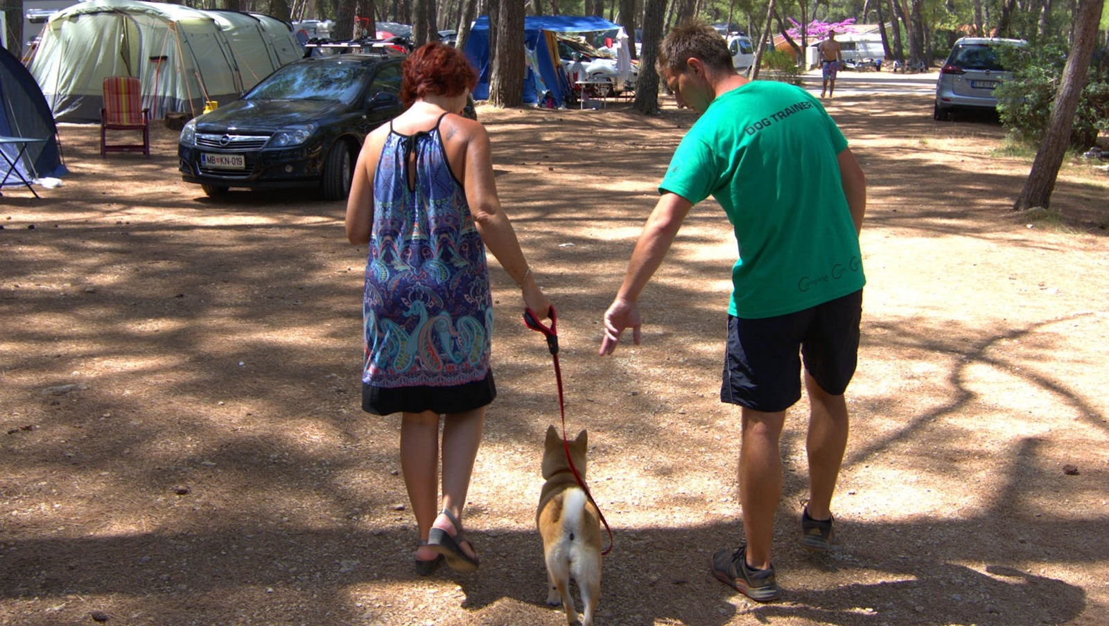 A couple walking a dog in a campsite with tents and cars