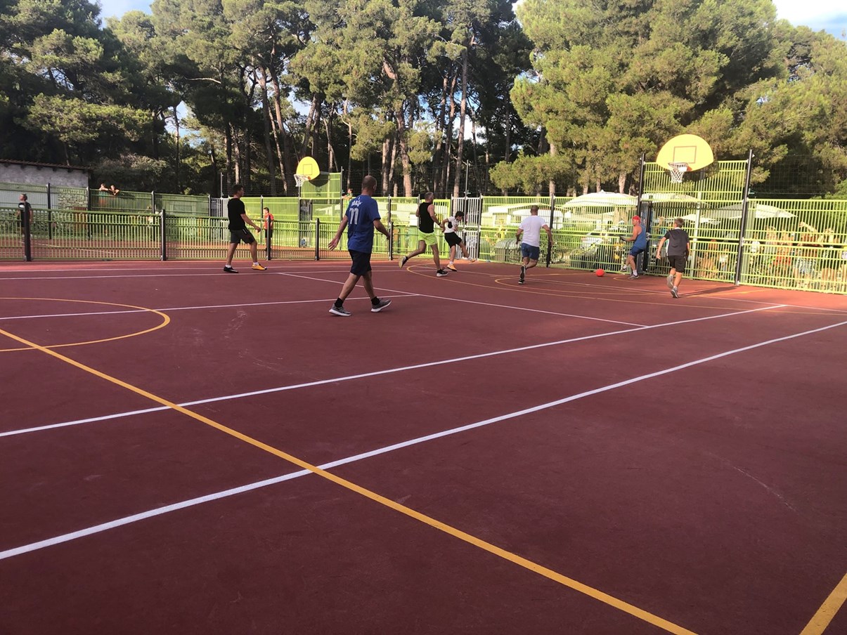 Multipurpose sports field